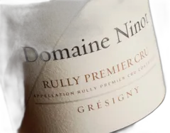 vue du vin Rully 1er Cru Grésigny Magnum