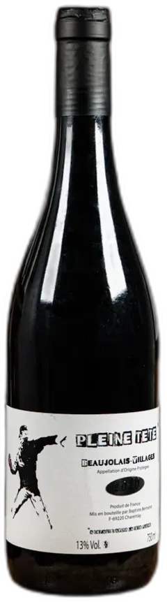 photo du vin Pleine Tête 2020 Beaujolais-Villages Baptiste Bertrand