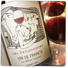 image du vin les Debonnaires 2020 Bio Sans Soufre Ajouté Loire Luc Sébille