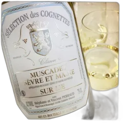 photo du vin Selection 2023 Bio Loire Domaine des Cognettes