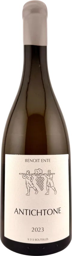 photo du vin Bourgogne Aligoté "Antichtone"