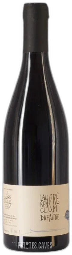 image du vin Côtes de Brouilly 2023 Domaine Dufaitre