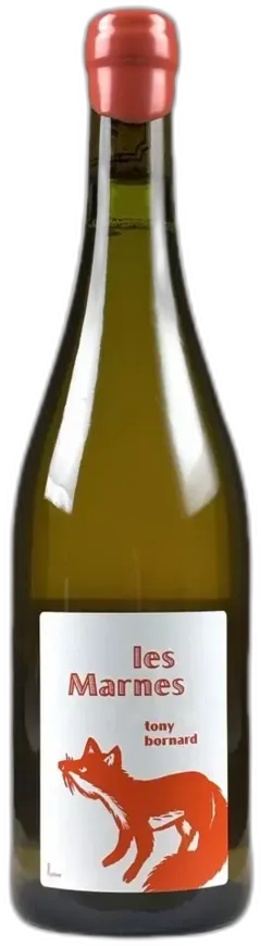 vue du vin Domaine Bornard Côtes du Jura "les Marnes" 2018
