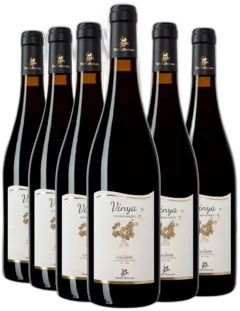 image du vin Aop Collioure Bio Vinya x6