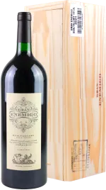 photo du vin Magnum Gran Enemigo Gualtallary 2021 el Enemigo Bois