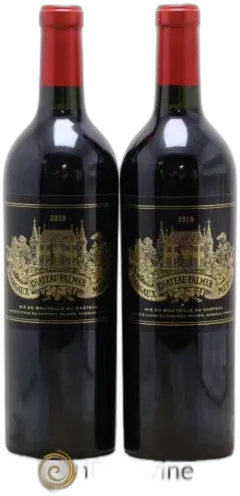 vue du vin Château Palmer