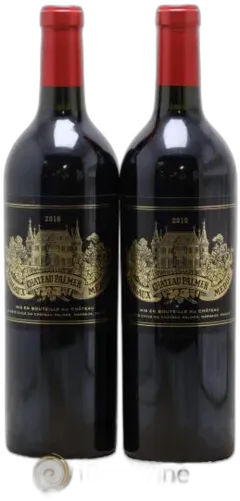 vue du vin Château Palmer