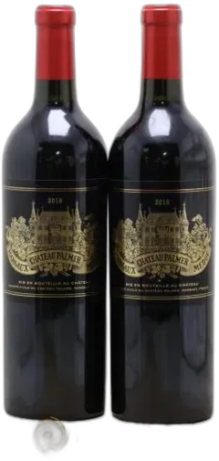 vue du vin Château Palmer