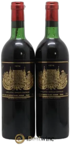 vue du vin Château Palmer