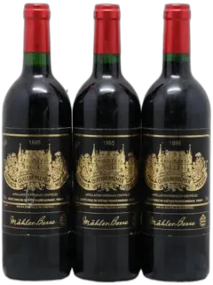 vue du vin Château Palmer