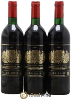 vue du vin Château Palmer