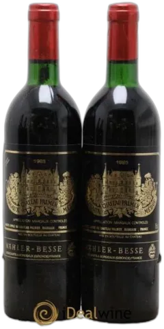 vue du vin Château Palmer