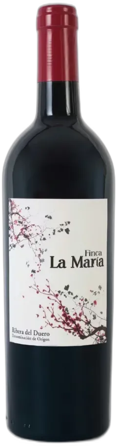 image du vin Finca la María