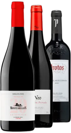 photo du vin Collection Ribera Del Duero Labuenauva