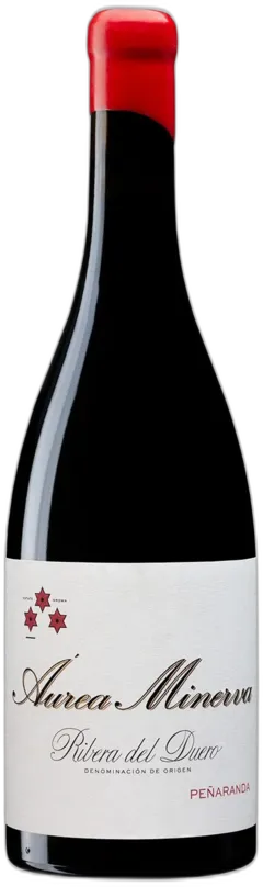 vue du vin Bela Roble 2023 Cvne
