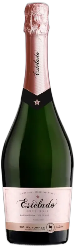 capture du vin Santa Digna Estelado
