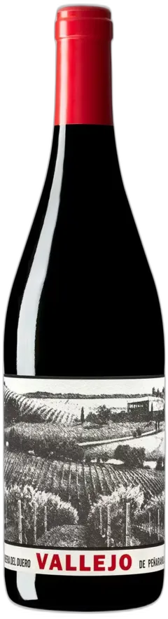 vue du vin Bela Roble 2023 Cvne