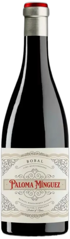 vue du vin Paloma Mínguez Bobal