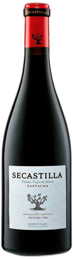 photo du vin Secastilla