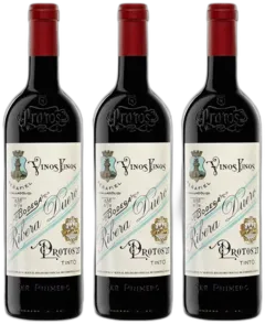 vue du vin Protos Roble
