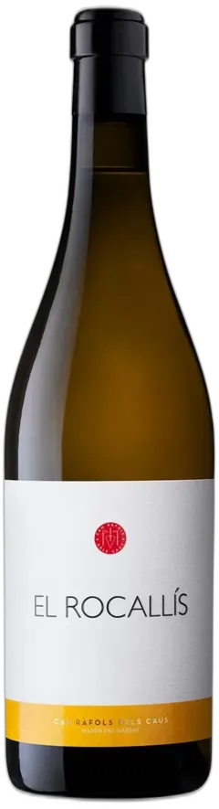 vue du vin Vinya el Rocallís 2022