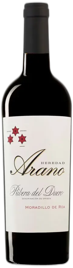 vue du vin Bela Roble 2023 Cvne