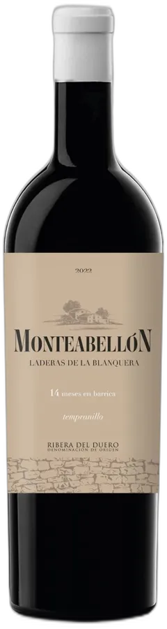 vue du vin Monteabellón 14 Meses