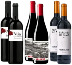 capture du vin Collection Grands Vins de Ribera Del Duero