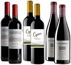 image du vin Collection Essence Ibérique