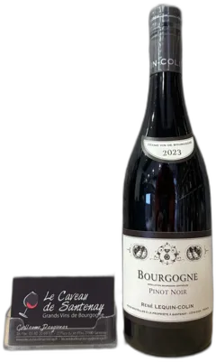 vue du vin Bourgogne Pinot Noir 2023 Domaine René Lequin-Colin