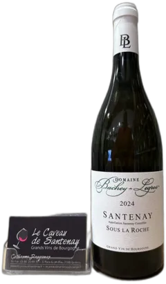 photo du vin Santenay Sous la Roche Blanc 2024 Domaine Bachey-Legros