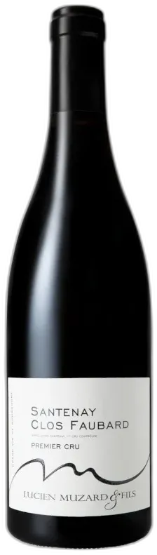 image du vin Santenay Clos Faubard 1er Cru 2022 Domaine Lucien Muzard & Fils