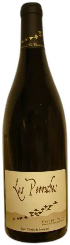 photo du vin Domaine de la Cotelleraie Saint-Nicolas de Bourgueil les Perruches 2023