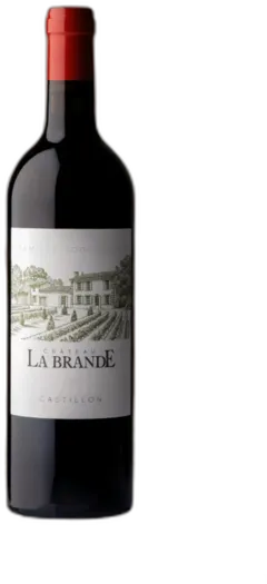 vue du vin Château la Brande Castillon Côtes-de-Bordeaux
