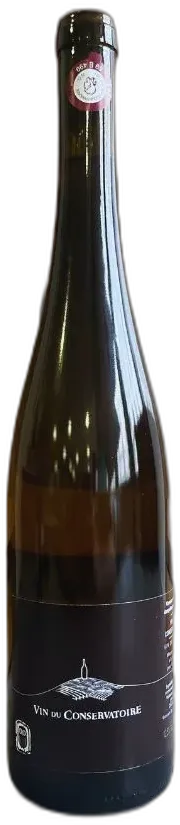 vue du vin Vin du Conservatoire Blanc 2024