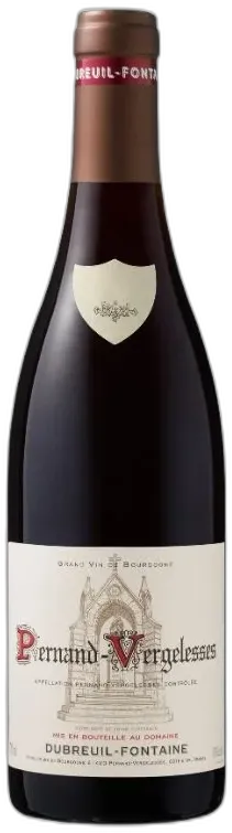 vue du vin Dubreuil Fontaine Pernand Vergelesses 2021