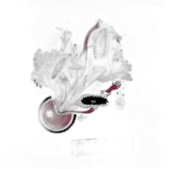 photo du vin Boutifolle 2013 2015 Cristal Closed Eric Dubois, Saumur Champigny