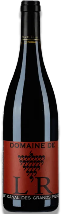 photo du vin les Cinq Elements 2023 Domaine de l’r Chinon