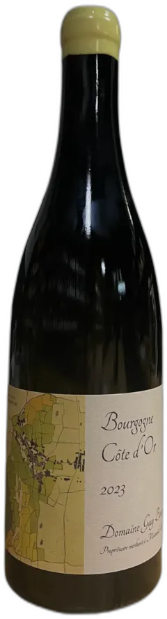 photo du vin Cote d’or Blanc