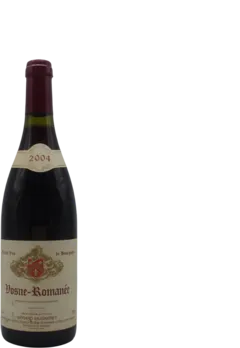 vue du vin Vosne-Romanée 2004