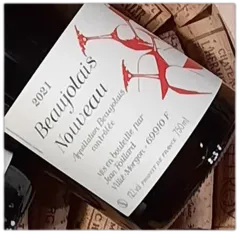 capture du vin Beaujolais Nouveau Rouge 2021