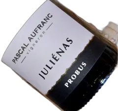 image du vin Julienas "Probus" Magnum