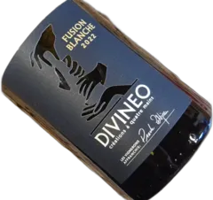 vue du vin Vin de France "Fusion Blanche" 2022