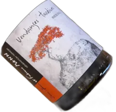 photo du vin Riesling Pfersigberg Grand Cru Vendanges Tardives