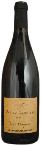 vue du vin Saumur Champigny les Poyeux 2023 Antoine Sanzay