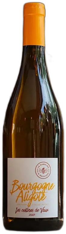 photo du vin Bourgogne Aligoté 2023 le Domaine d’Edouard