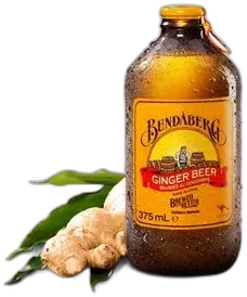 image du vin Bundaberg Ginger Beer Sans Alcool