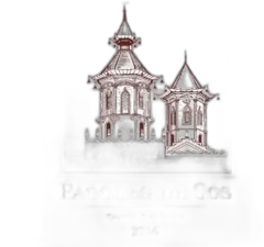 vue du vin Pagodes de Cos Saint-Estèphe 2016