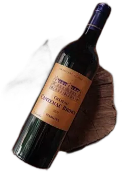 vue du vin Cantenac Brown Margaux Rouge 2020