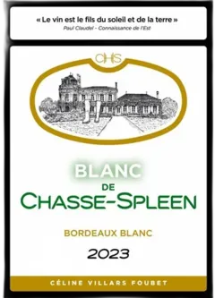 image du vin Blanc de Chasse Spleen Bordeaux 2023